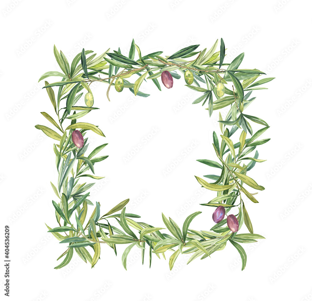 Olive wreath square isolated on white background. Frame made of twigs of a young tree. Watercolor illustration