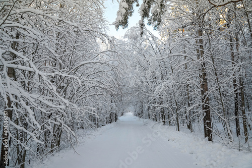  Road in the forest in the winter. Everything is covered with snow.