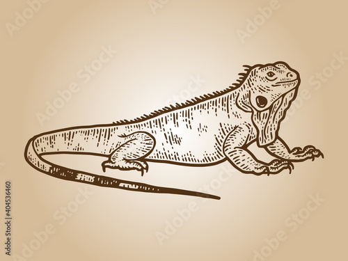 Iguana sketch, drawing a big lizard. Apparel print design sepia