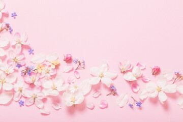 spring flowers on pink background