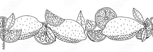 Seamless pattern of lemon fruit hand drawn, isolated on white background. Can be used as seamless brush. Vector illustration.
