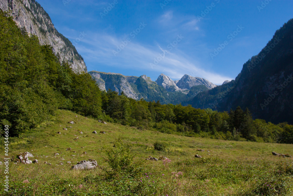 Nice view of the mittersee, alpine green meadows, beautiful landscape for your desktop