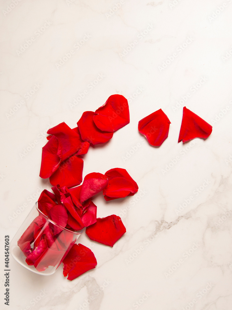 Directly above of Transparente glass with red rose flower petals on white marble background. Text Copy space image. Romantic Saint Valentine’s Day Holiday decoration.
Directly above of Transparente glass with red rose flower petals on white marble background. Text Copy space image. Romantic Saint Valentine’s Day Holiday decoration.