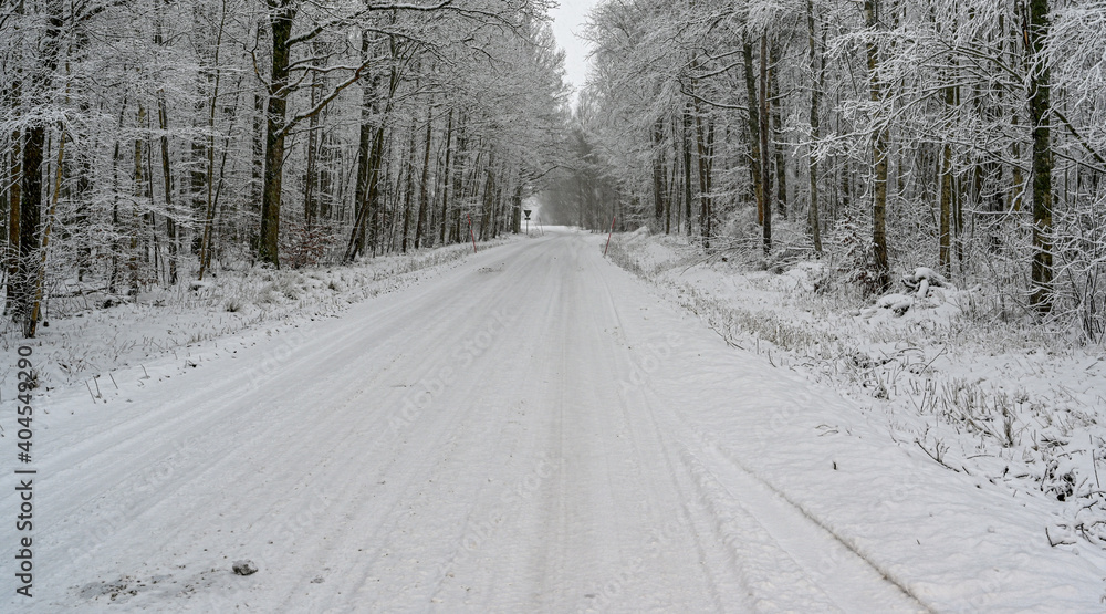 Obraz premium straight winter road covered in snow in Sweden