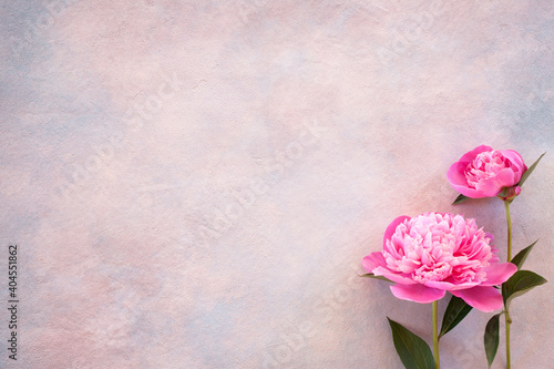 Two peonies on a decorative background, space for text, congratulations