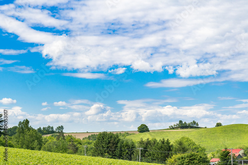 爽やかな青空と夏の美瑛の丘 北海道美瑛町の観光イメージ