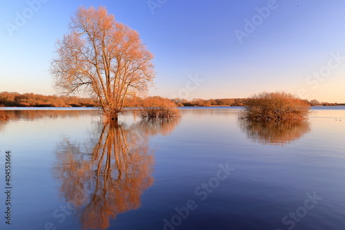 Paysage symétrique haut et bas par réflexion sur l'eau d'un lac en hiver, effet miroir. Arbres et buissons avec couleurs chaudes de la fin d'après-midi. Lac de Grand-Lieu près de Nantes