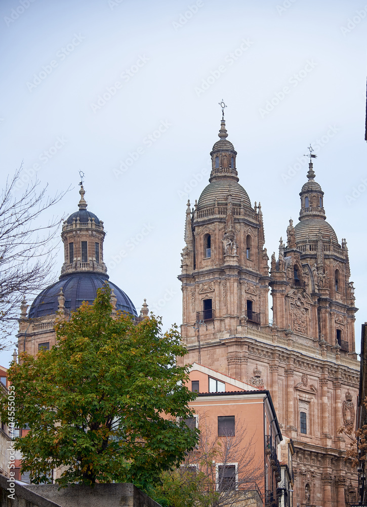 Detail of the domes of the Clerecía, famous church in front of the Casa de las Conchas, in the city of Salamanca, Castilla y León, Spain, photograph taken in winter 2020 (December-January)