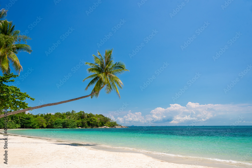 Fotografie Tropical beach landscape with palm trees on Bintan island, Indonesia