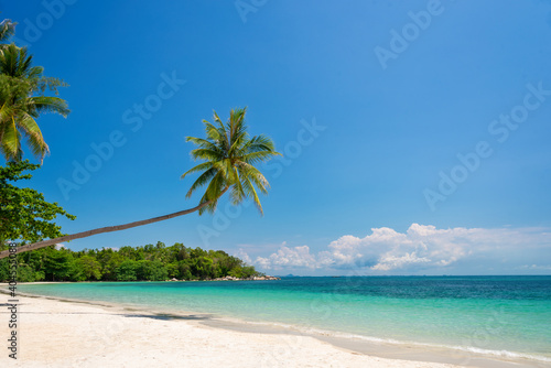 Tropical beach landscape with palm trees on Bintan island, Indonesia © Delphotostock