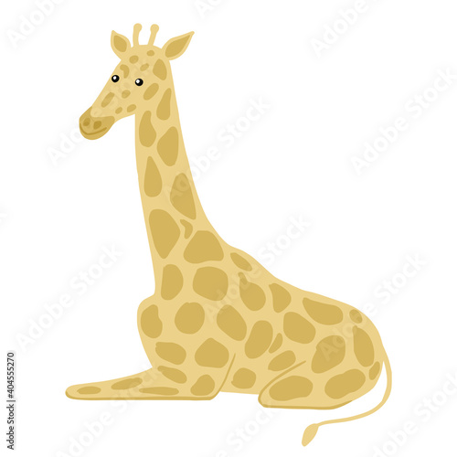 Giraffe sits isolated on white background. Cute character from safari in pattern spots.