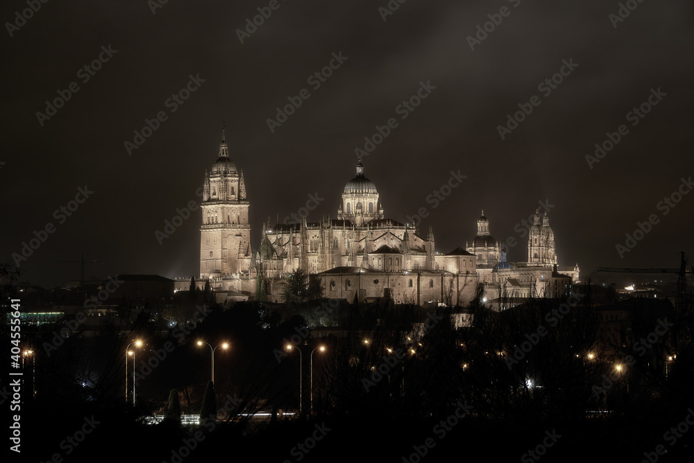 Cathedral of the city of Salamanca, Castilla y León, Spain, photograph taken in winter 2020 (December-January)