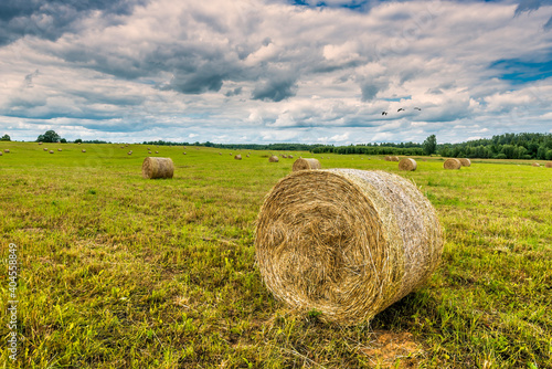 Agricultural landscape with clouds above field with rolls of haystacks, summe...