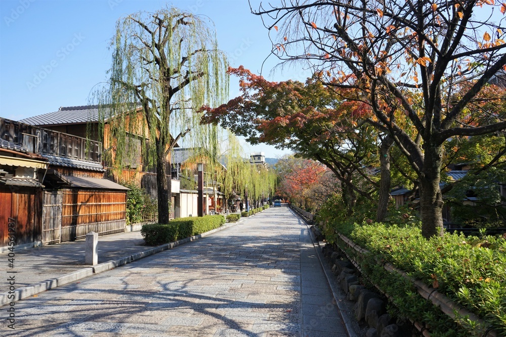 Obraz premium Autumn view of Geisha house area and Pontocho alley in Kyoto, Japan - 先斗町 京都 日本 秋