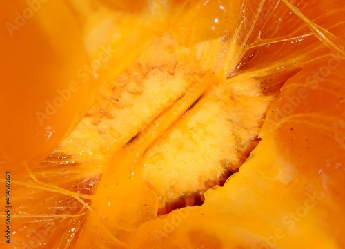 Soft abstract orange background for female menstrual calendar and agriculture articles