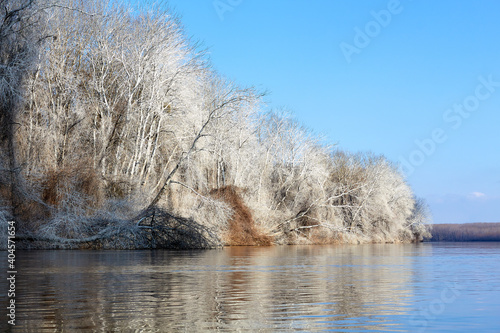 Frosty winter trees by the Danube river