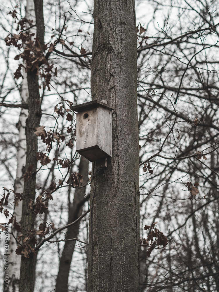 Birdhouse on tree