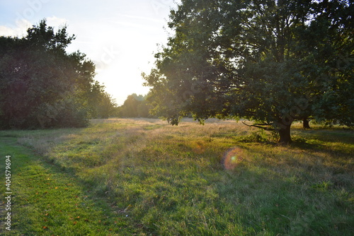 Tooting Commons Park Sunset photo