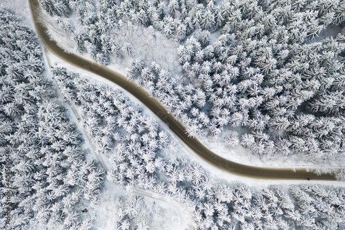 Aerial view of the road in the winter forest with high pine or spruce trees covered by snow. Driving in winter. © vladim_ka