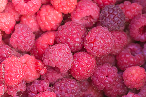 Red ripe raspberries background