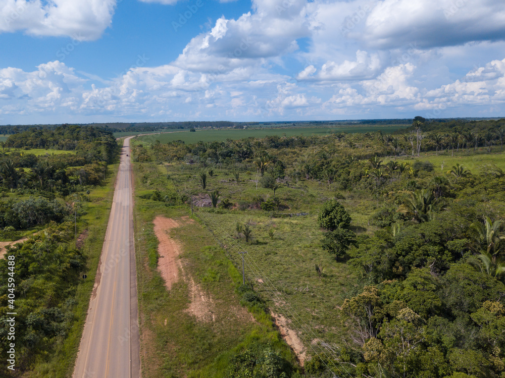 Aerial drone view of BR 319 road in Amazon rainforest landscape in the border of Amazonas and Rondônia state, Brazil. Concept of  ecology, conservation, deforestation, environment, global warming.