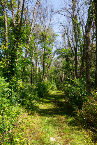 Hiking trails in and around Belleview State Park, Iowa.