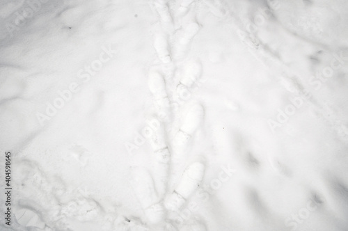 Track of footprints in the snow. Background, texture of snow.