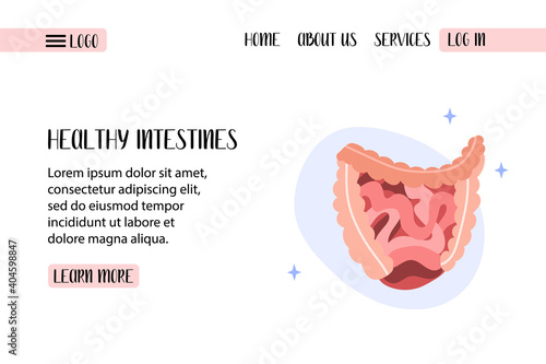 Human digestive system. Gut, small and large intestine. Digestive tract. Vector flat illustration. Perfect for banner, landing page, website