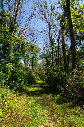 Hiking trails in and around Belleview State Park, Iowa.