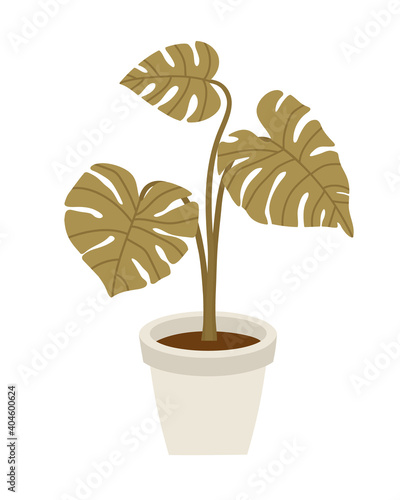 Vector illustration of the flowerpot with monstera isolated on a white background. Concept of home flower, springtime gardening, floriculture. Hand-drawn set in flat style.