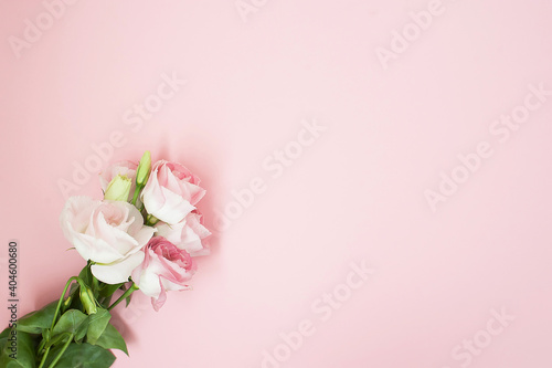 Flowers composition. Pink rose flowers on pastel pink background. Flat lay, top view, copy space © Николай Амосеев