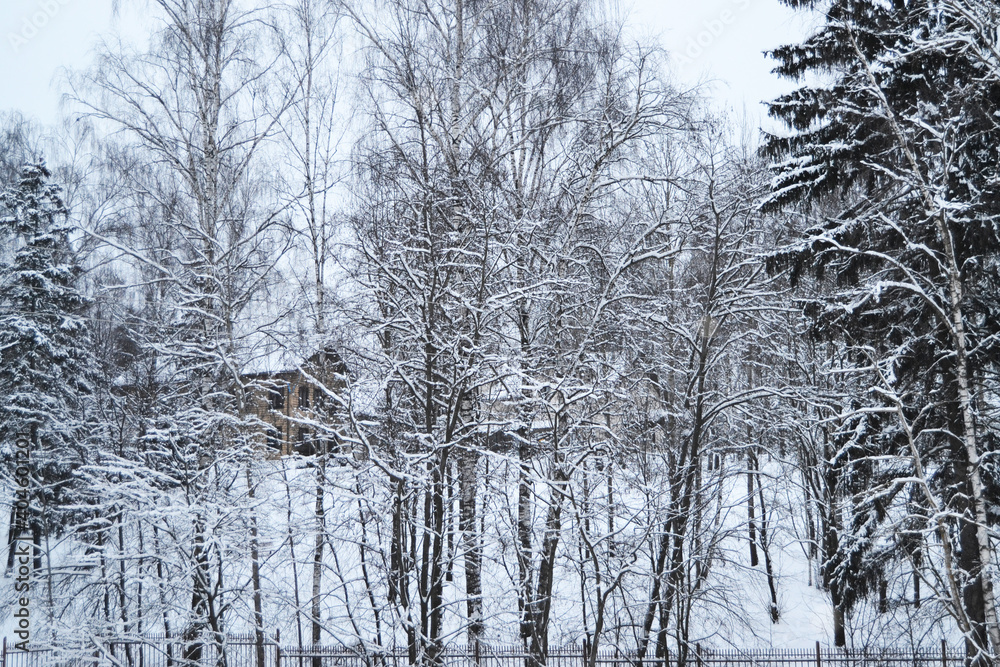 Fototapeta premium Winter landscape with a wooden house
