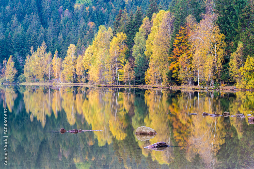 Mirroring stones and autumn trees
