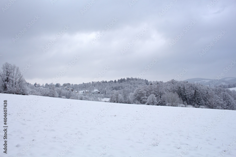 blizzard in mountains. magic scenery with clouds and fog on a sunny winter morning. trees in mist on a snow covered meadow. cold weather blizzard in mountains. magic scenery with clouds and fog on a sunny winter morning. trees in mist on a snow covered meadow. cold weather