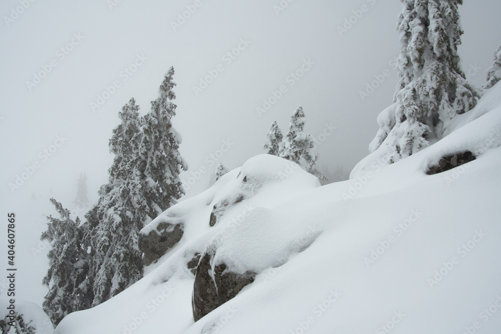 VELEBIT MOUNTAIN, ZAVIZAN - 2.1.2021. Northern Velebit National park covered with snow. Cloudy cold day in the mountains. Hill slope VELEBIT MOUNTAIN, ZAVIZAN - 2.1.2021. Northern Velebit National park covered with snow. Cloudy cold day in the mountains. Hill slope
