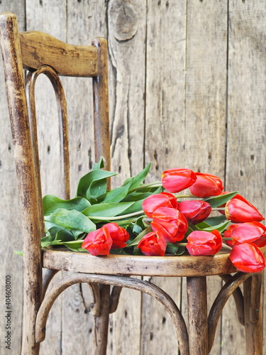 A bouquet of beautiful red tulips on a stylish wooden rustic chair. Country life. Happy Mother is Day. Place for text.