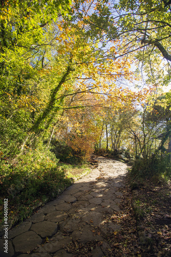 Cable mountain in Rome. The sacred way and woods in autumn. Colors  nature and a fairytale landscape