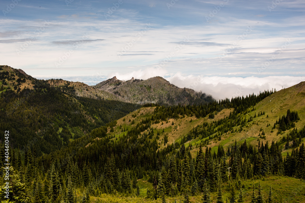 beautiful viewpoint of mountains and trees beautiful viewpoint of mountains and trees