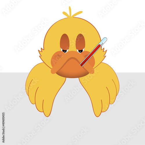 Canard - Thermomètre - Grippe aviaire