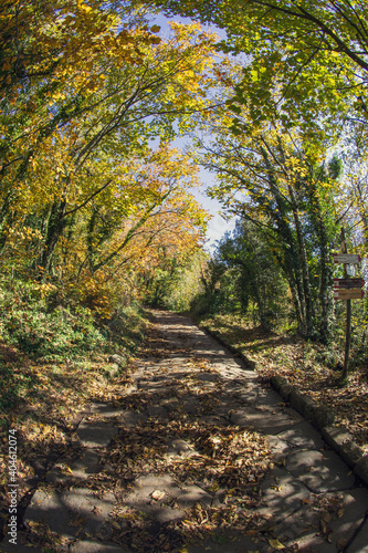 Cable mountain in Rome. The sacred way and woods in autumn. Colors, nature and a fairytale landscape