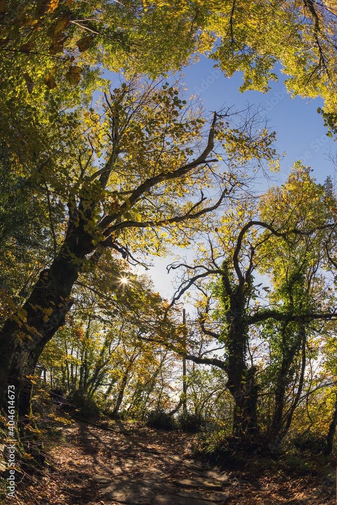 Cable mountain in Rome. The sacred way and woods in autumn. Colors, nature and a fairytale landscape Cable mountain in Rome. The sacred way and woods in autumn. Colors, nature and a fairytale landscape