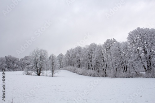 Winter trees in mountains covered with fresh snow © Roman's portfolio