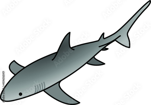 A shark.