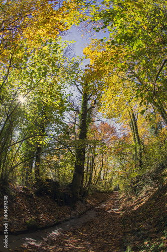 Cable mountain in Rome. The sacred way and woods in autumn. Colors, nature and a fairytale landscape © Claudio Quacquarelli