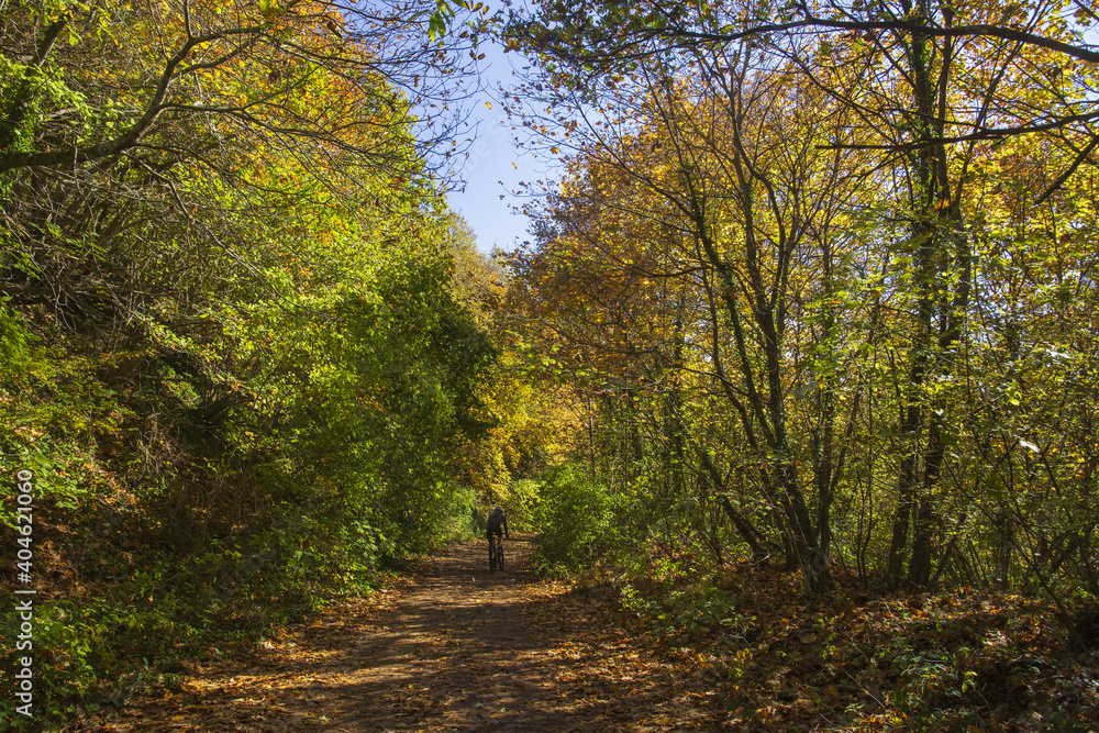 Obraz premium Cable mountain in Rome. The sacred way and woods in autumn. Colors, nature and a fairytale landscape