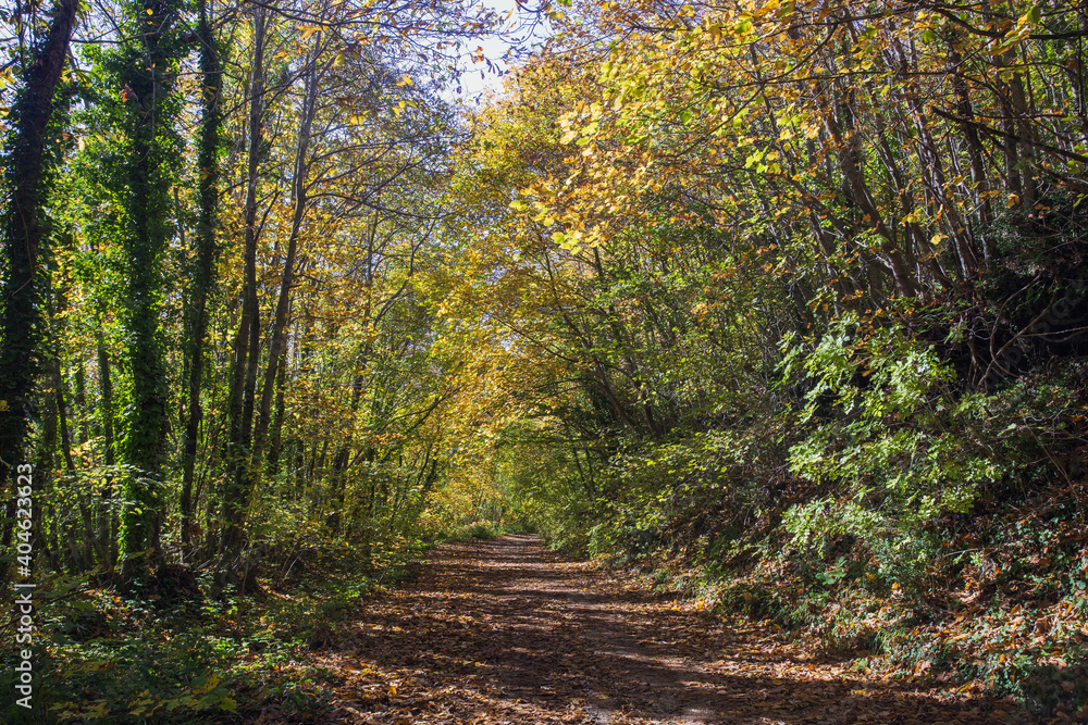 Cable mountain in Rome. The sacred way and woods in autumn. Colors, nature and a fairytale landscape Cable mountain in Rome. The sacred way and woods in autumn. Colors, nature and a fairytale landscape