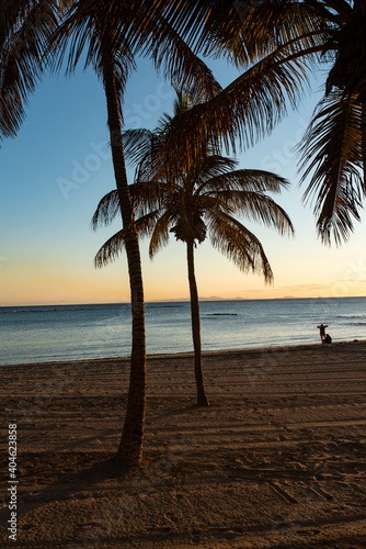 Solitary beach with palm trees at sunset with the sea in the background