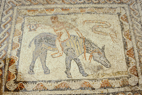 Mosaicos de la casa del Desultor  atleta sobre un caballo.Ciudad Romana de Volubilis II d.c.   yacimiento arqueologico.Marruecos.