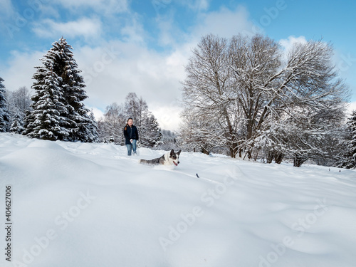 A girl plays with a corgi dog in a snowy forest. Sunlight. Winter's tale.