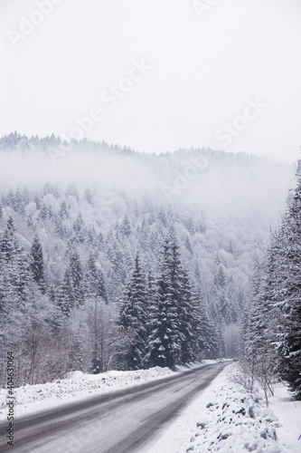 winter road in the mountains and trees with snow. Poland © avelina_boyko